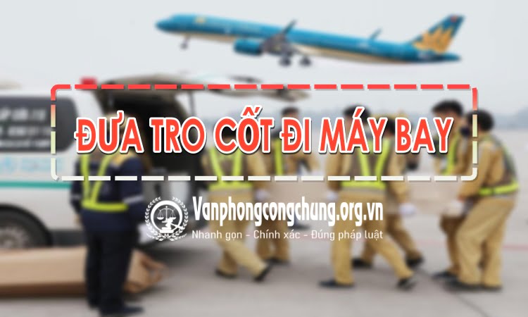 Mang tro cốt đi máy bay