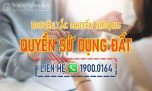 Nguyên tắc chuyển nhượng quyền sử dụng đất