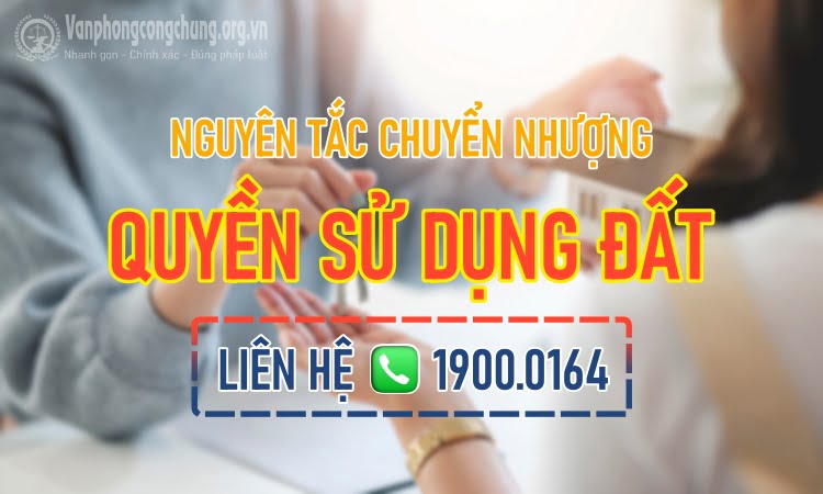 Nguyên tắc chuyển nhượng quyền sử dụng đất Yên Bình- Liên hệ hotline: 1900.0164 để đặt lịch hẹn và nhận báo giá 