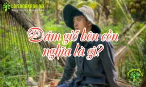 Đám giỗ bên cồn nghĩa là gì? - Hình ảnh minh họa