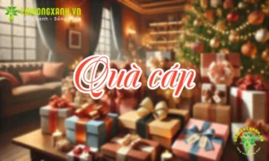 Quà cáp là gì? - Hình ảnh minh họa